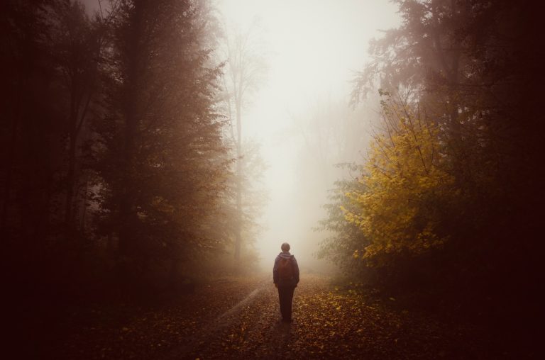 Man silhouette on unknown path in mysterious forest with fog